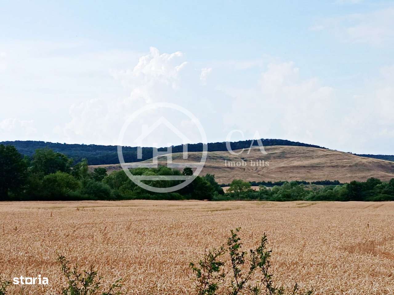 Teren intravilan de vanzare in Fughiu, Bihor - Imagine principală: 2/3