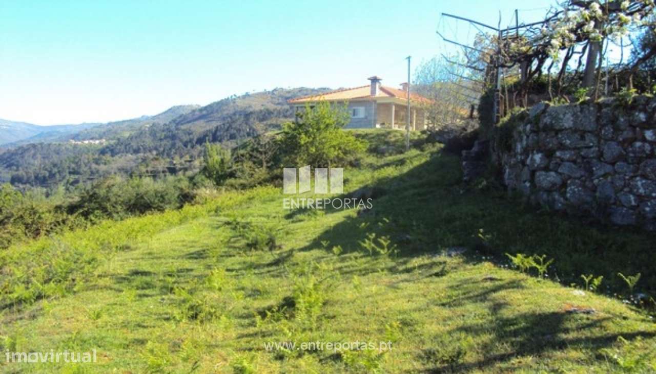 Venda Terreno, Cinfães - Grande imagem: 3/12