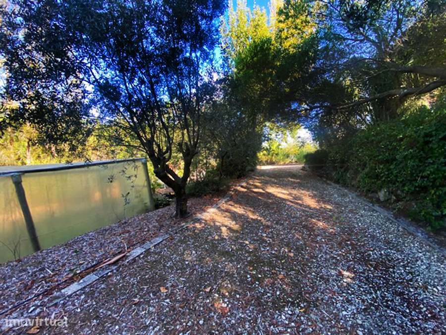 Moradia T5 grande propriedade, pleno campo, arredores Caldas da Rainha-11