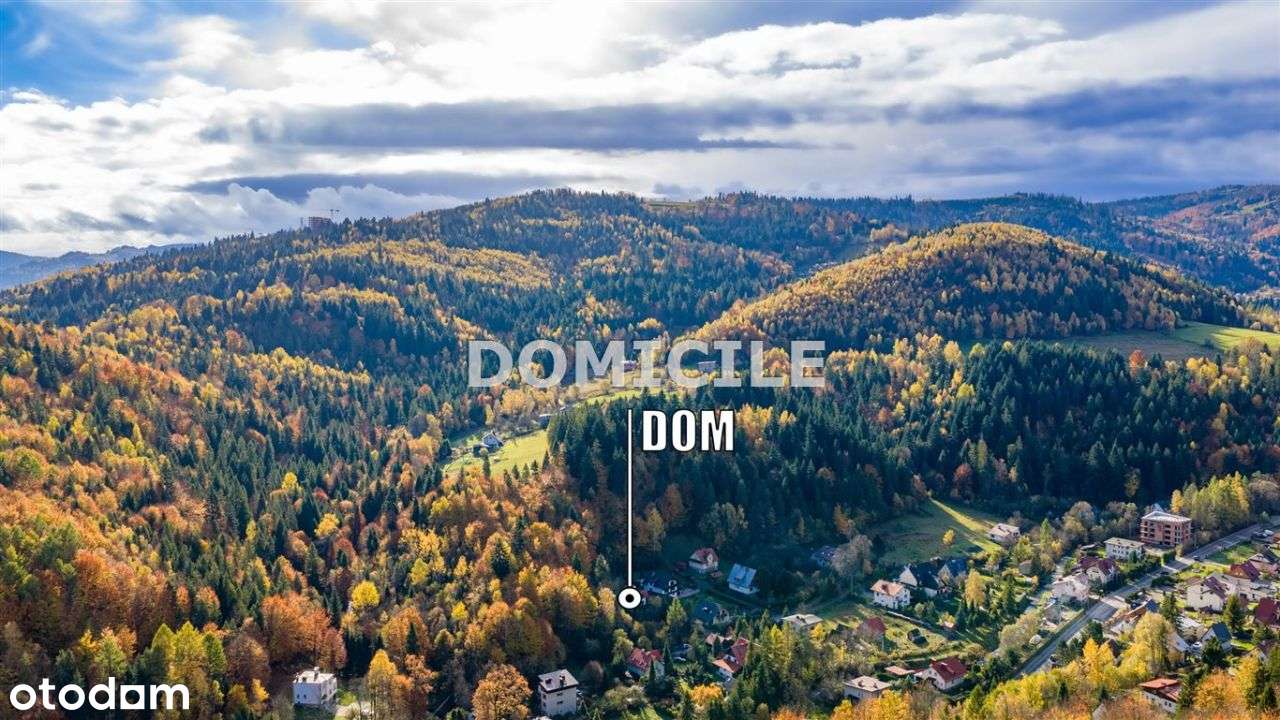 Dom w górach otoczony lasem-7