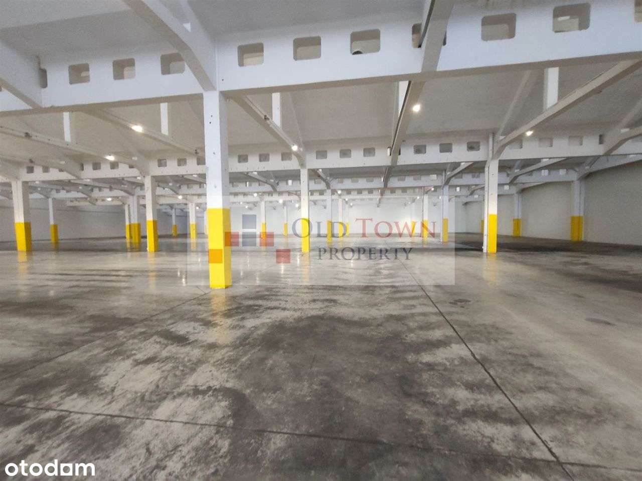 Hala 3850 m2 Lublin Zadębie - Pełny obrazek: 3/6