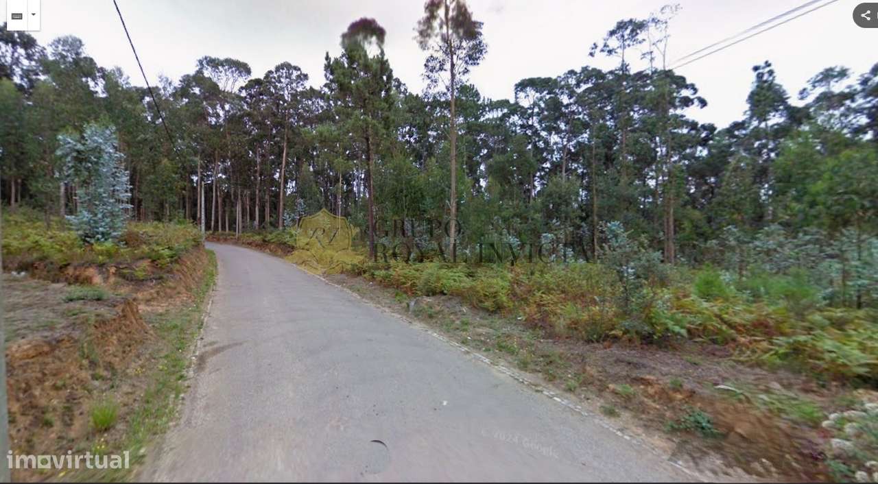 Excelente terreno rústico com PDM previsto para Terreno Industrial - 9 - Grande imagem: 4/8