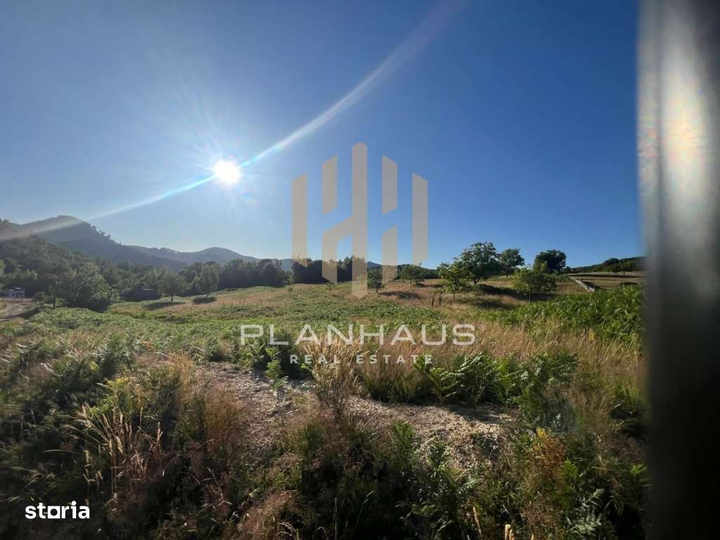 Teren extravilan Izvoare Maramures , zona Vidra , ideal pentru cabană - Imagine principală: 4/8