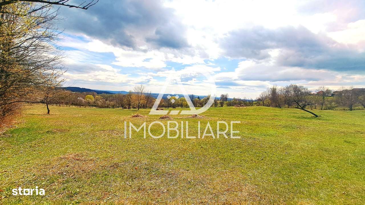 Teren intravilan de vanzare in Racovita, Polovragi - Imagine principală: 4/8