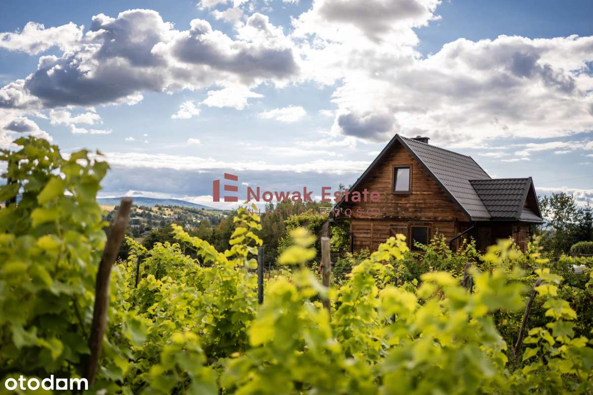 Winnica & Agroturystyka | gotowy biznes-0