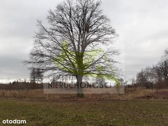 Działka o pow. 5000 m2 w pięknym miejscu.