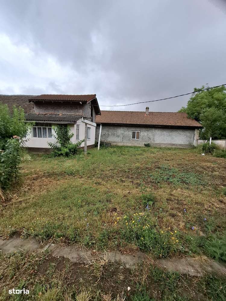 Giarmata – Teren Constructii – Vatra Satului - Imagine principală: 2/6