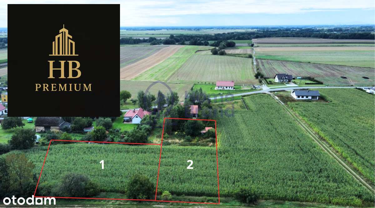 10 minut od Oleśnicy| Prąd na działce| - Pełny obrazek: 1/5