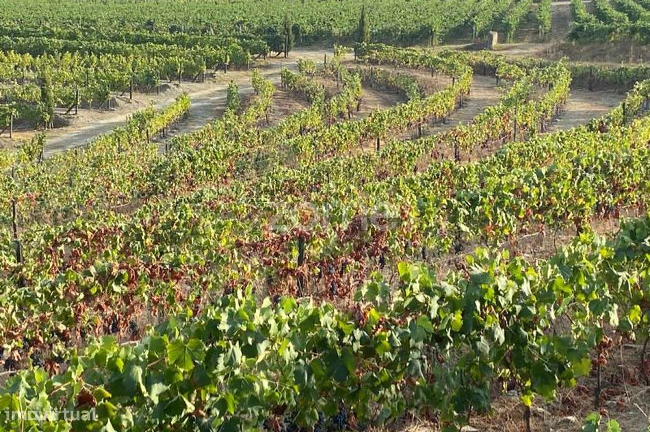 Terreno rústico com 34.330 m² de área - Grande imagem: 2/8