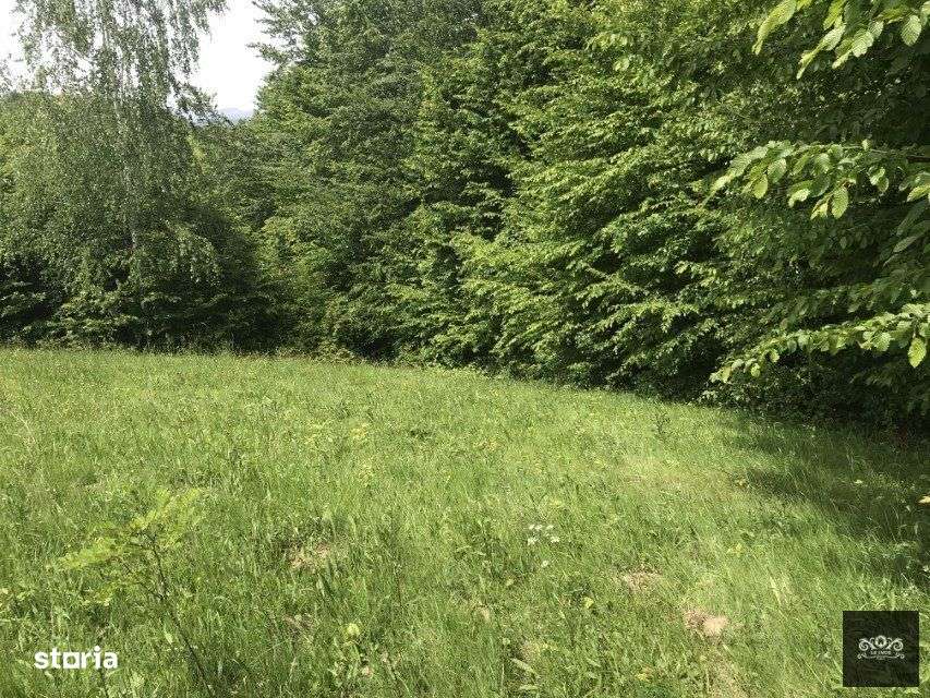 Vand teren in Albestii de Muscel faneata-pasune, partial impadurit - Imagine principală: 1/10