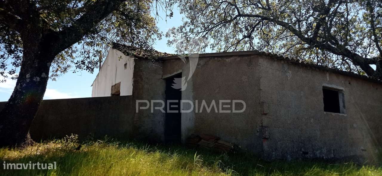 Quinta com 4,6 hectares, Monte da Pedra - Grande imagem: 5/25