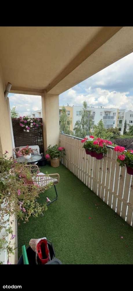 Dostępne od zaraz! Wszystko w cenie! 0% prowizji!-13