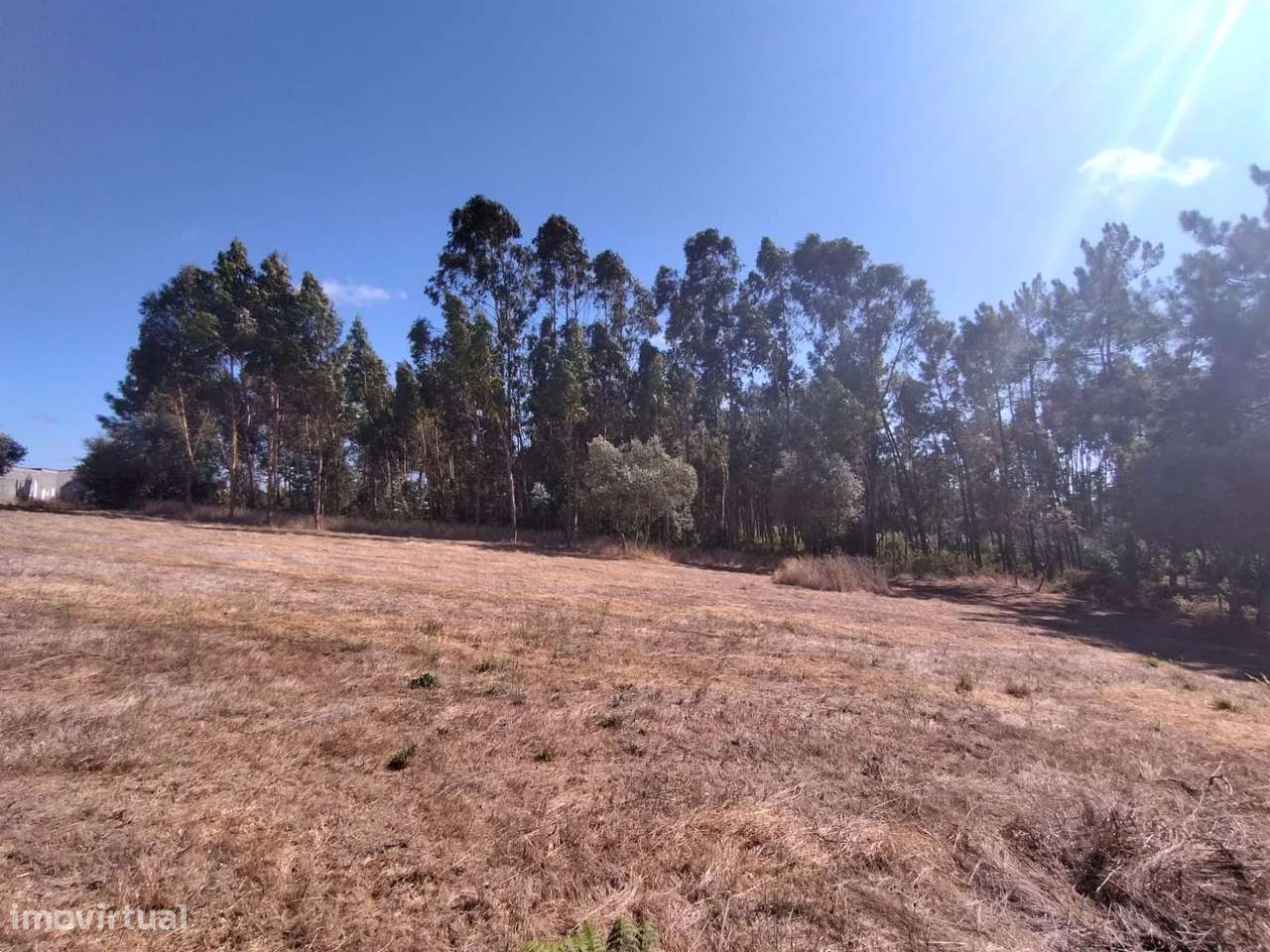 Terreno / Construção / Casalinho / Soure / Coimbra - Grande imagem: 4/8