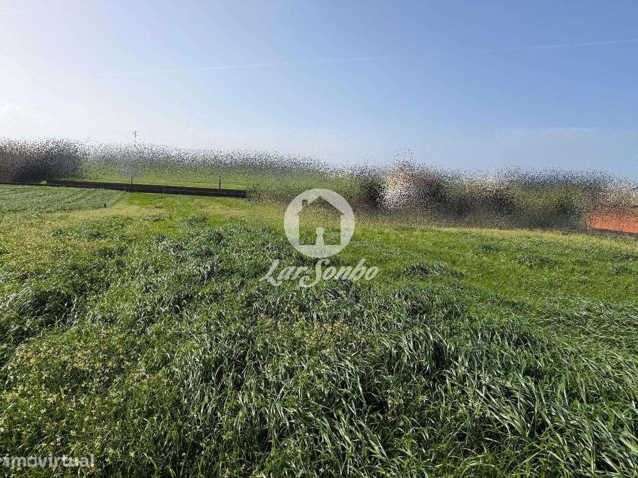 Terreno de 3.911m2 com PIP aprovado para 11 Moradias em Labruge - V... - Grande imagem: 4/13