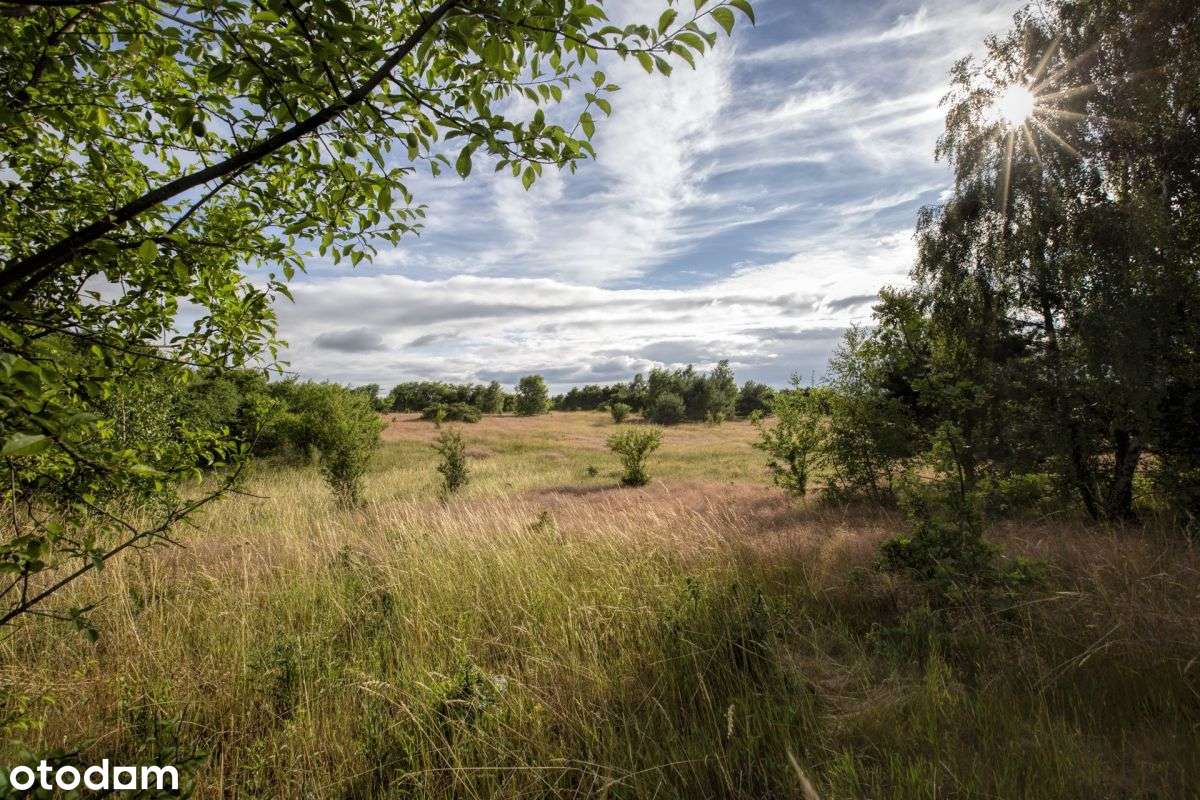 Działka w spokojnej okolicy 5 km od morza / Sarbsk - Pełny obrazek: 2/9