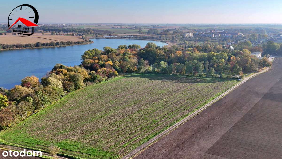 Działka z linią brzegową jeziora i planem zagosp. - Pełny obrazek: 5/16