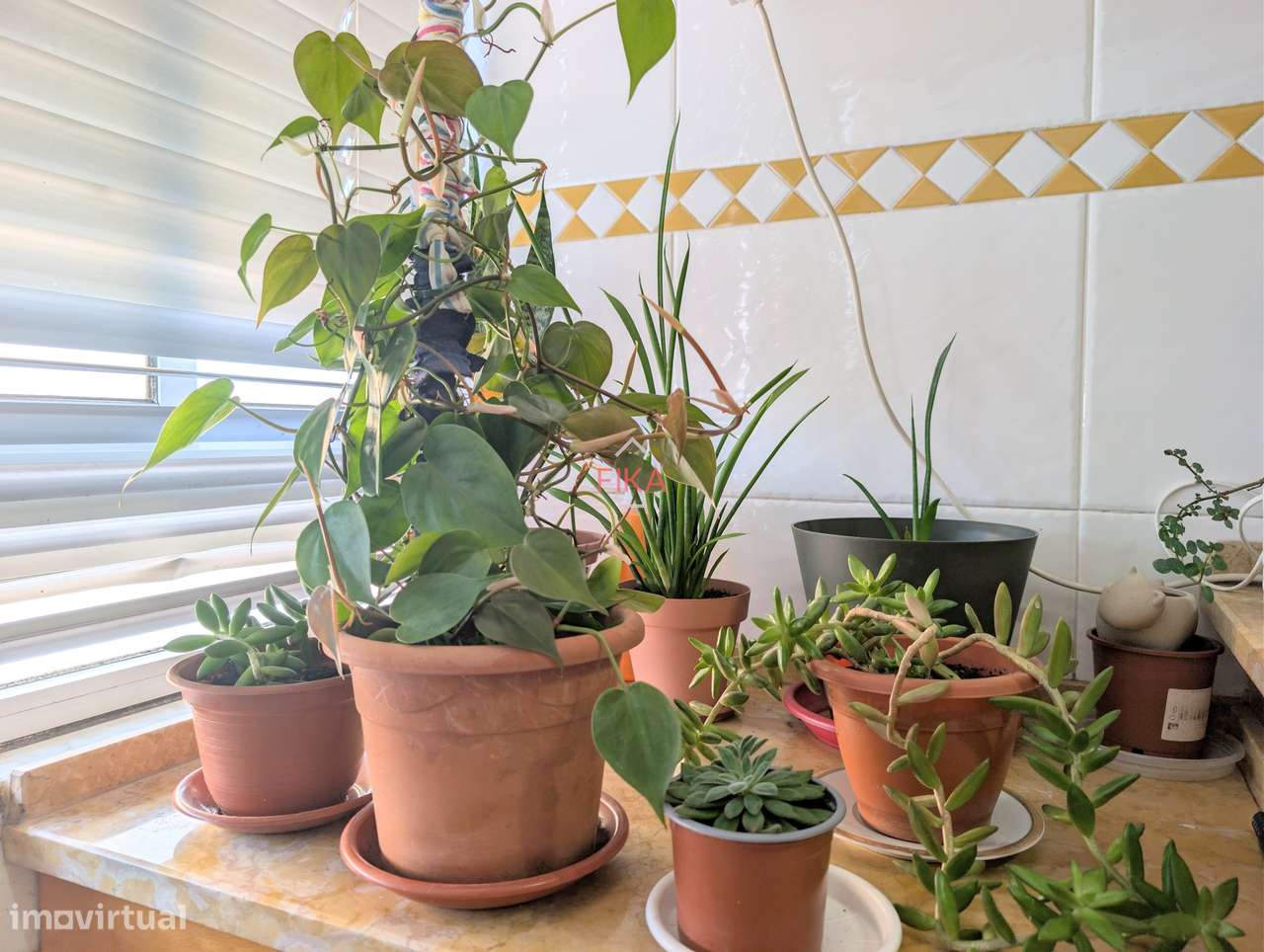 T3 com 4 varandas nas Paivas-7