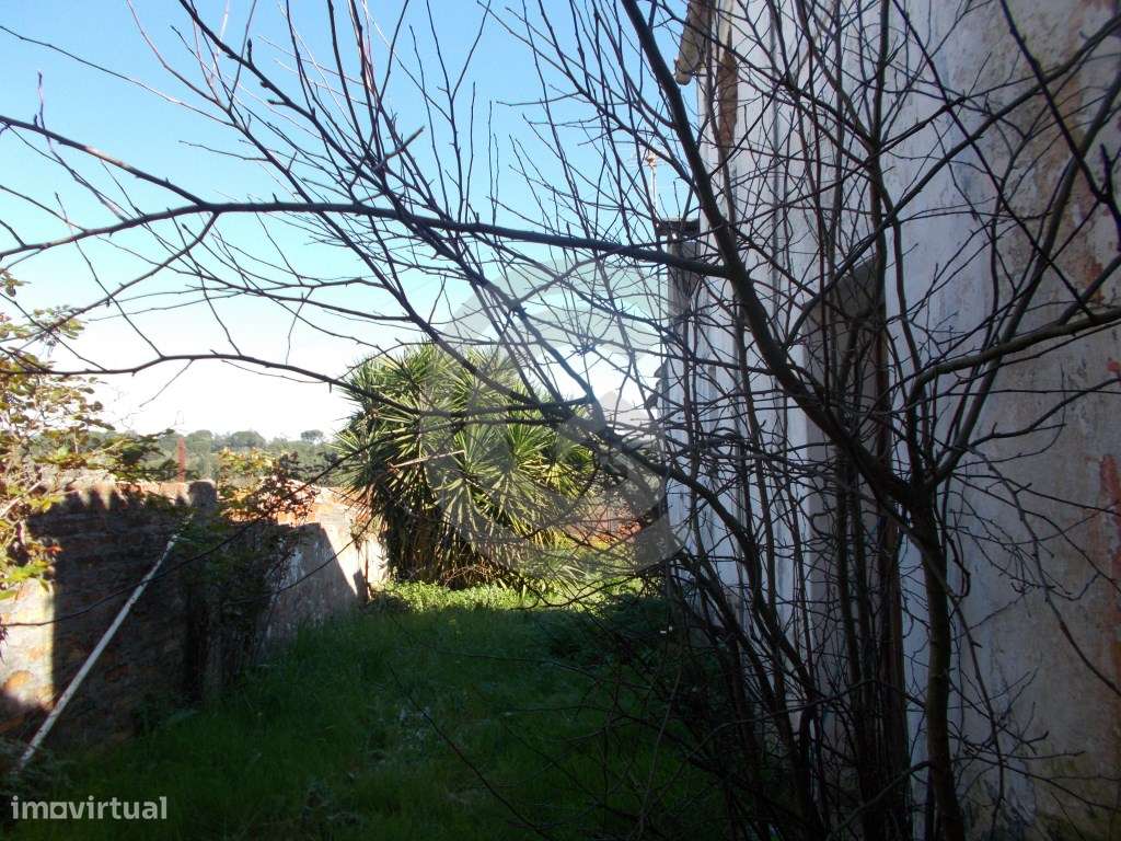 Moradia para reabilitar - Grande imagem: 5/7