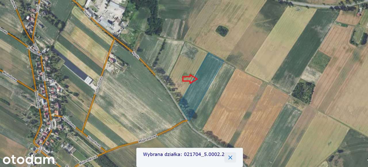 Dwie działki rolne na sprzedaż | Biedrzychów | 2,37 ha i 0,76 ha-3