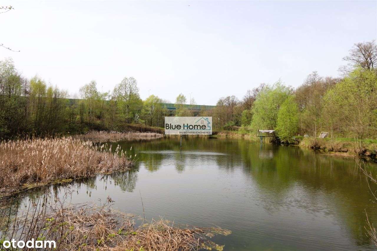 Działka z dwoma stawami w Lubiczu Dolnym 1.45ha - Pełny obrazek: 5/7