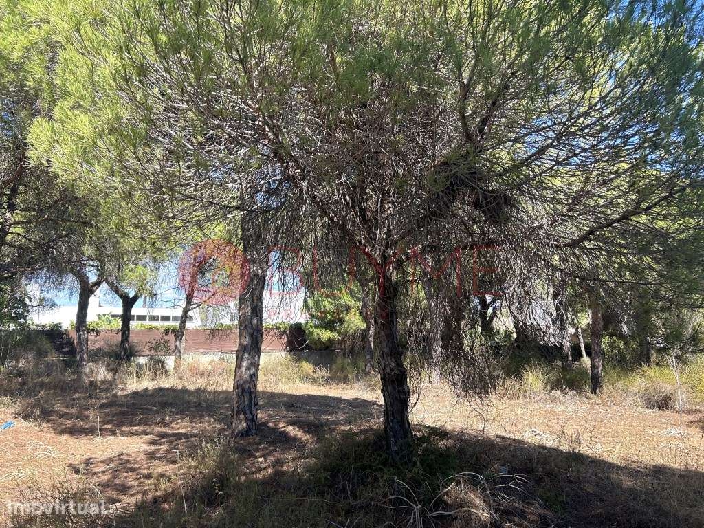 Lote de Terreno para Moradia nas Varandas do Lago, Almancil - Grande imagem: 5/6