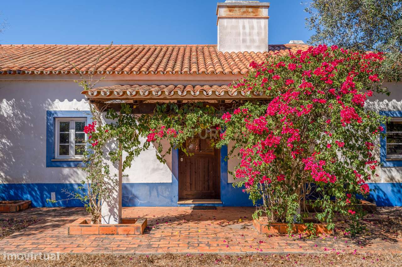 Moradia, 79 000 m², São Teotónio - Grande imagem: 5/57