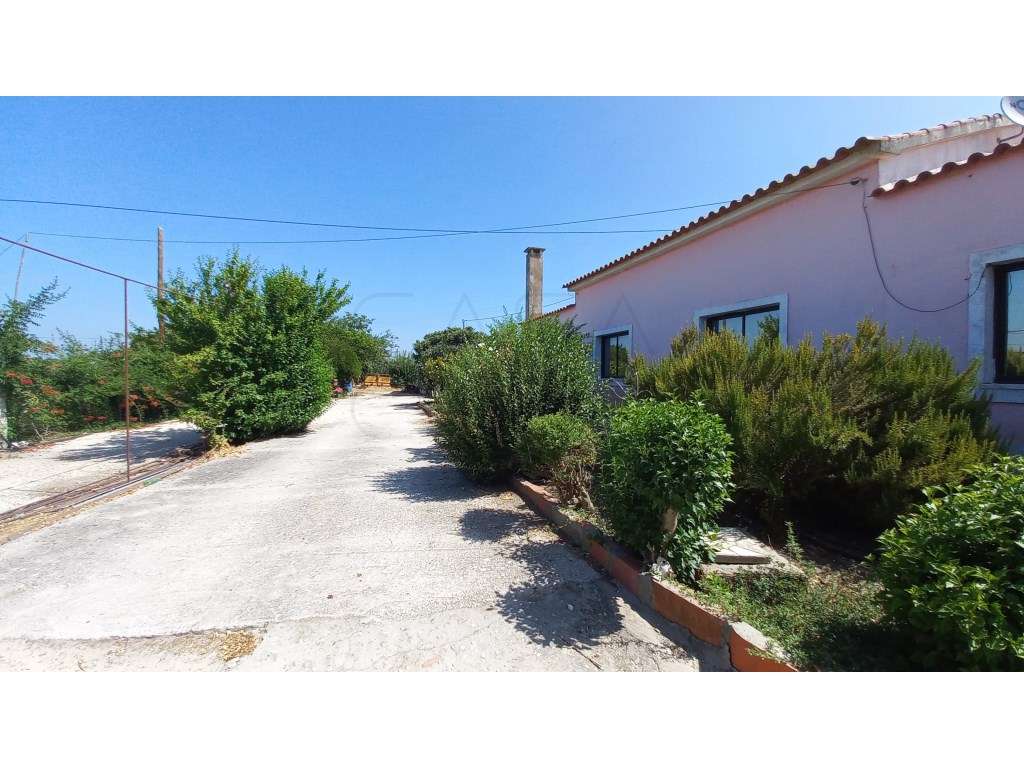 Herdade vinhateira próxima de Setúbal-20