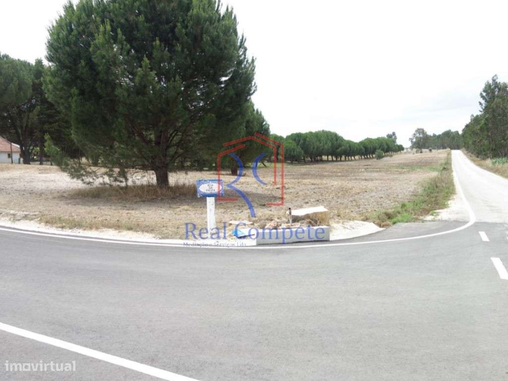 Terreno Urbanizável na Branca, Coruche - Grande imagem: 5/6