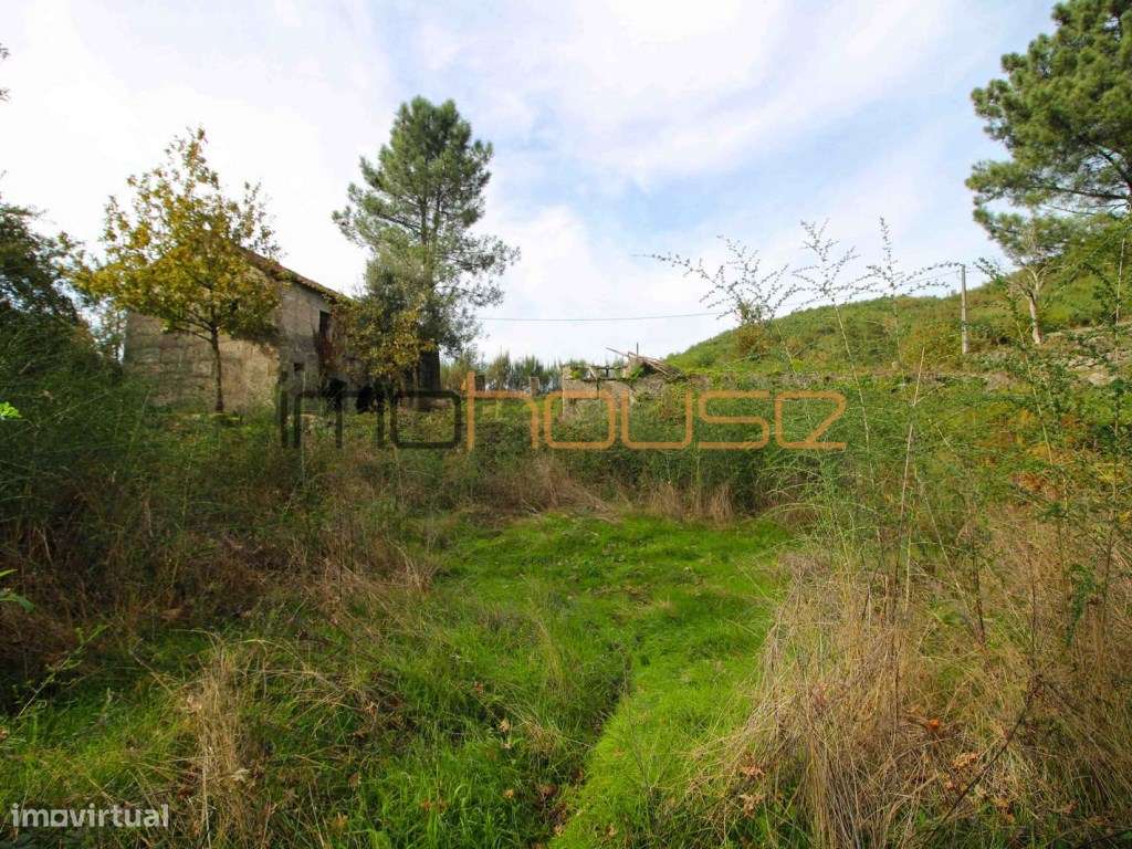 Quinta isolada - Amarante-17