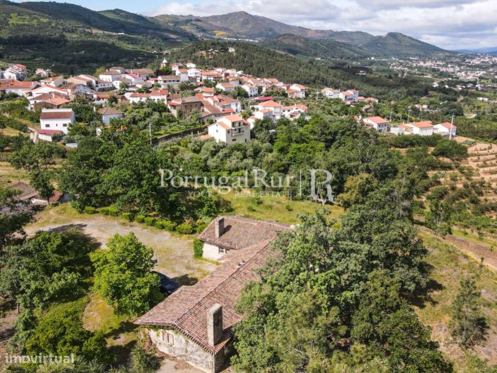 Quinta de 4 ha com 3 casas e cerejeiras no Fundão, ideal para turismo-50
