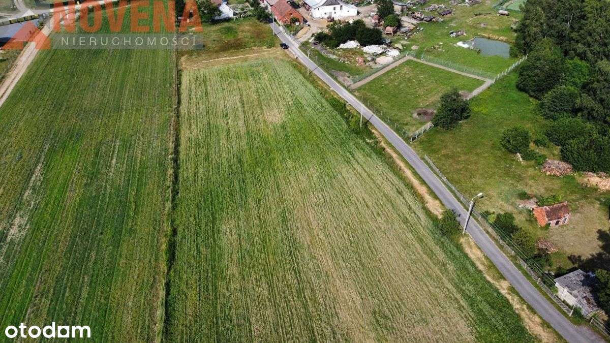 Niedary, las 280m - Pełny obrazek: 2/11