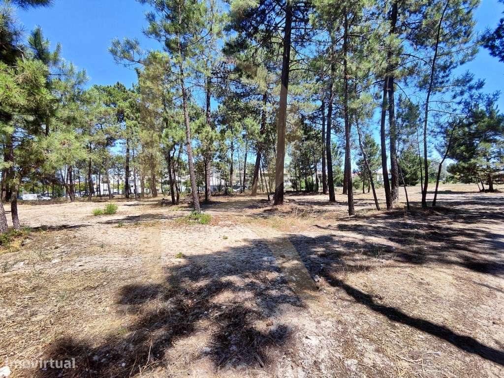 Venda conjunta de 105 lotes de terreno na Urbanização Pinhal de Neg...-12