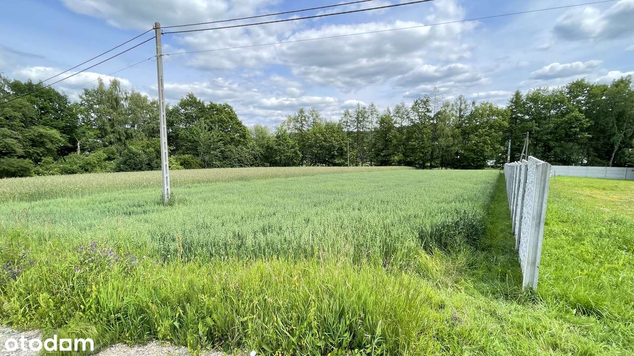 Działka budowlano - usługowa Głogoczów 43 ary-1