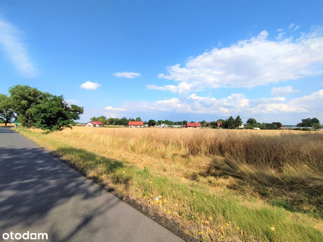 DZIAŁKA miesz-usł. MN/U GOLISZÓW 0,5km Chojnów