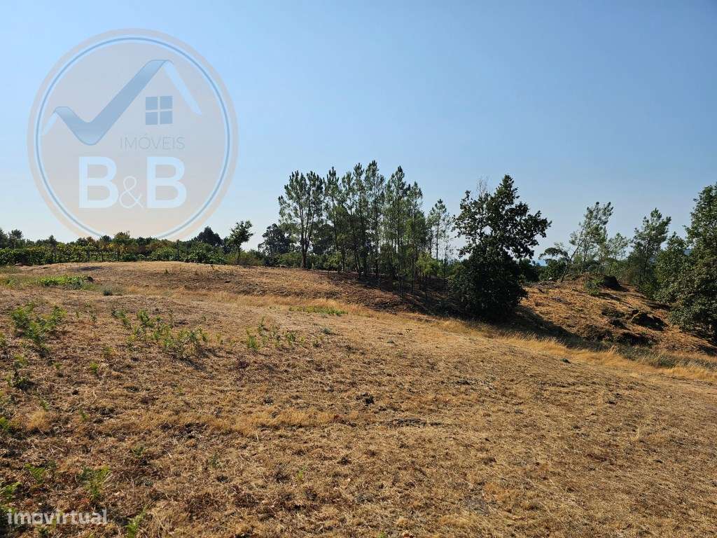 Quinta com Moradia T4 em Leiradas, Rio Douro - Cabeceiras de Basto-51