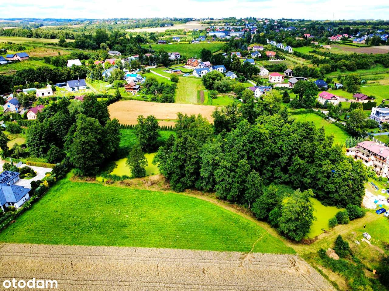Wyjątkowa działka 81 ar | Przybysławice | staw, zieleń, media, MPZP - Pełny obrazek: 3/20