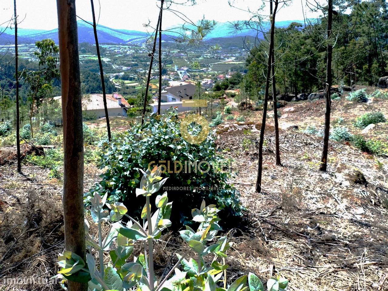 Terreno Rústico - Grande imagem: 4/10