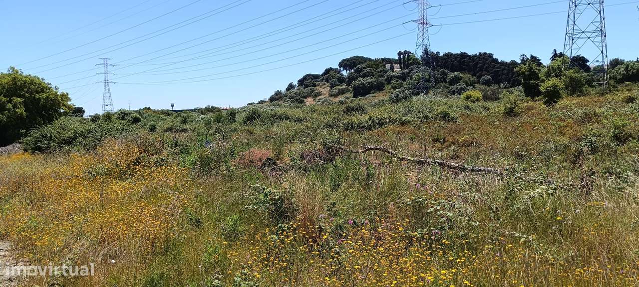 Terreno Rústico – Palmela-14