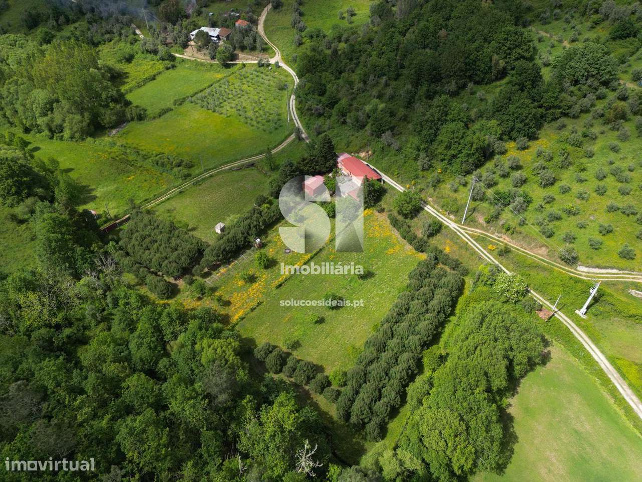 Fantastico Terreno Folques-Arganil - Grande imagem: 5/10