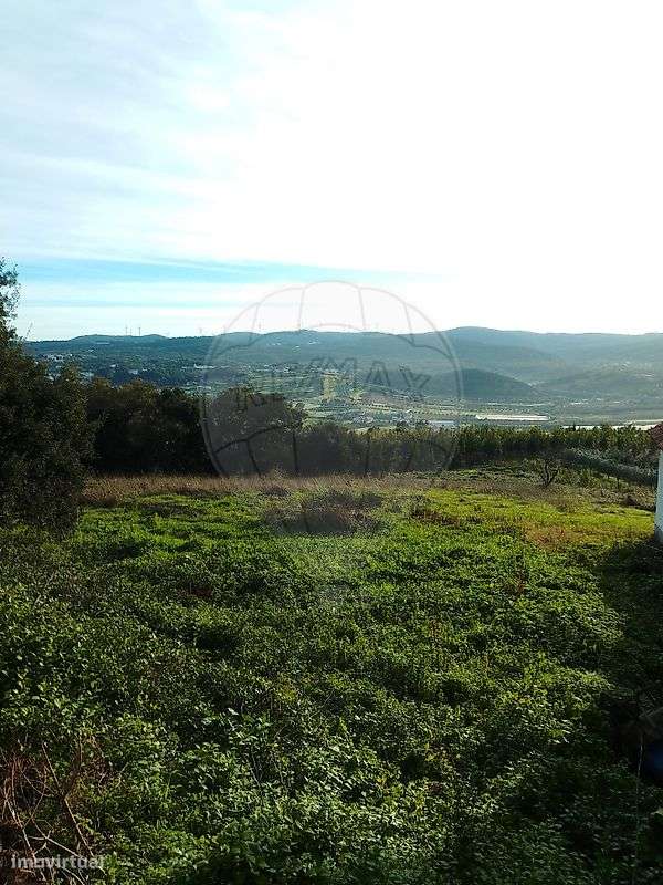 Terreno  para venda - Grande imagem: 5/9