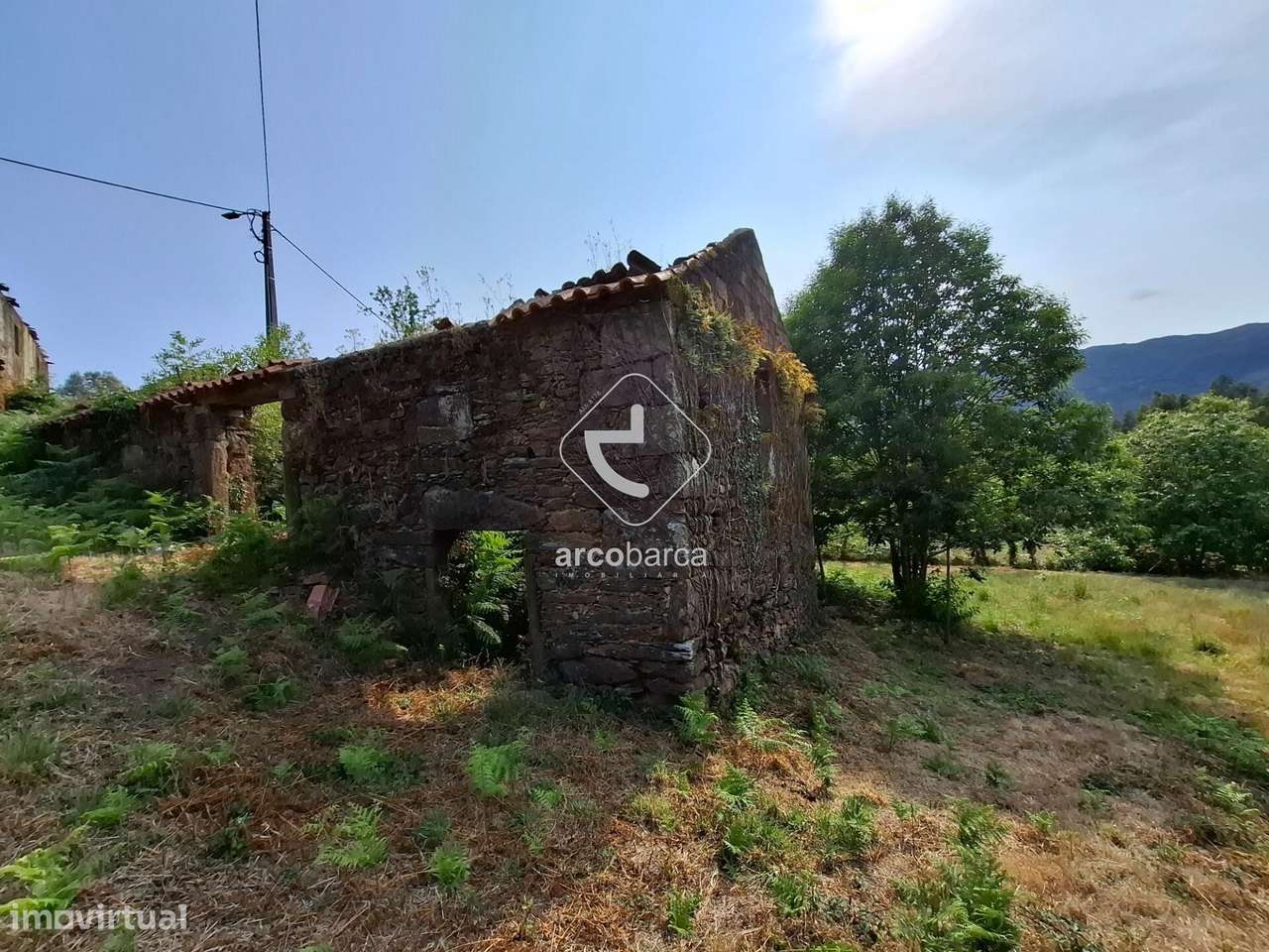 Quintinha ruinas p/restauro com 2520m2 - Moreira Lima - Ponte de Lima-3