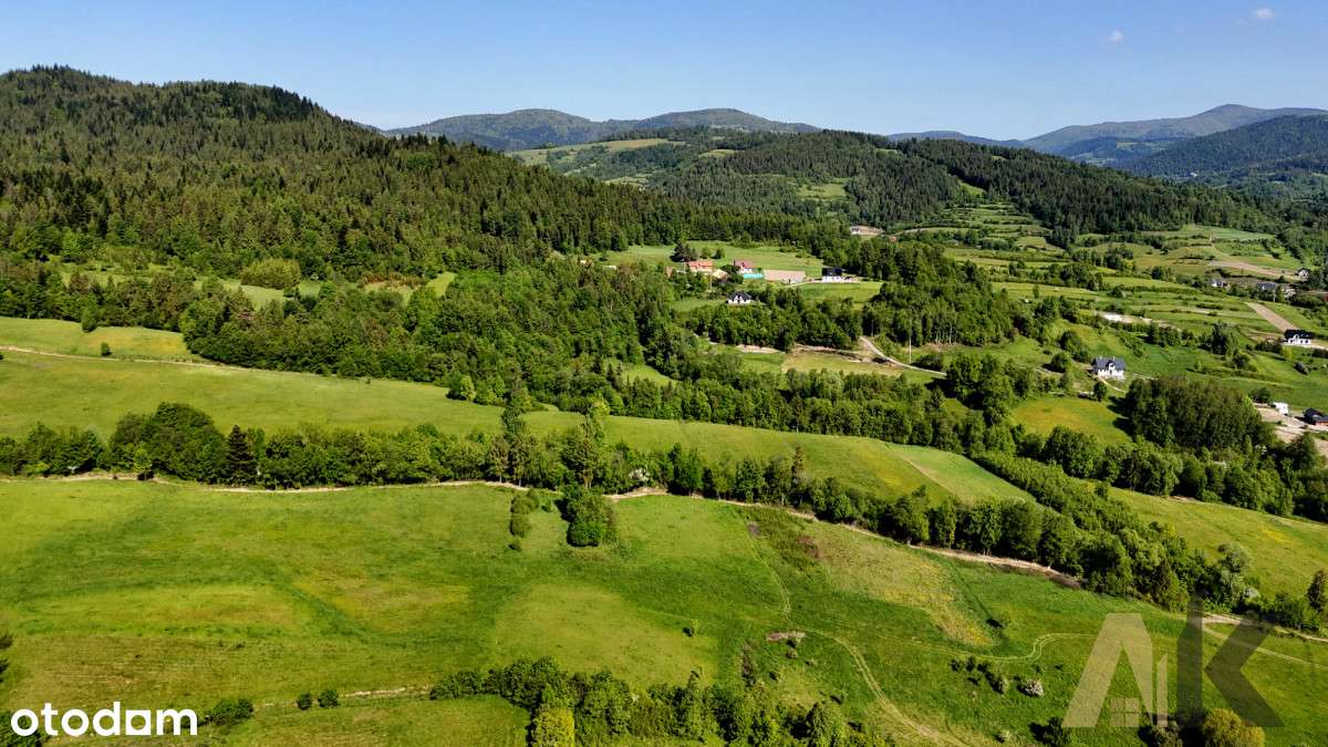 Duża działka budowlana pod Ranczo - Kamienica - Pełny obrazek: 4/10