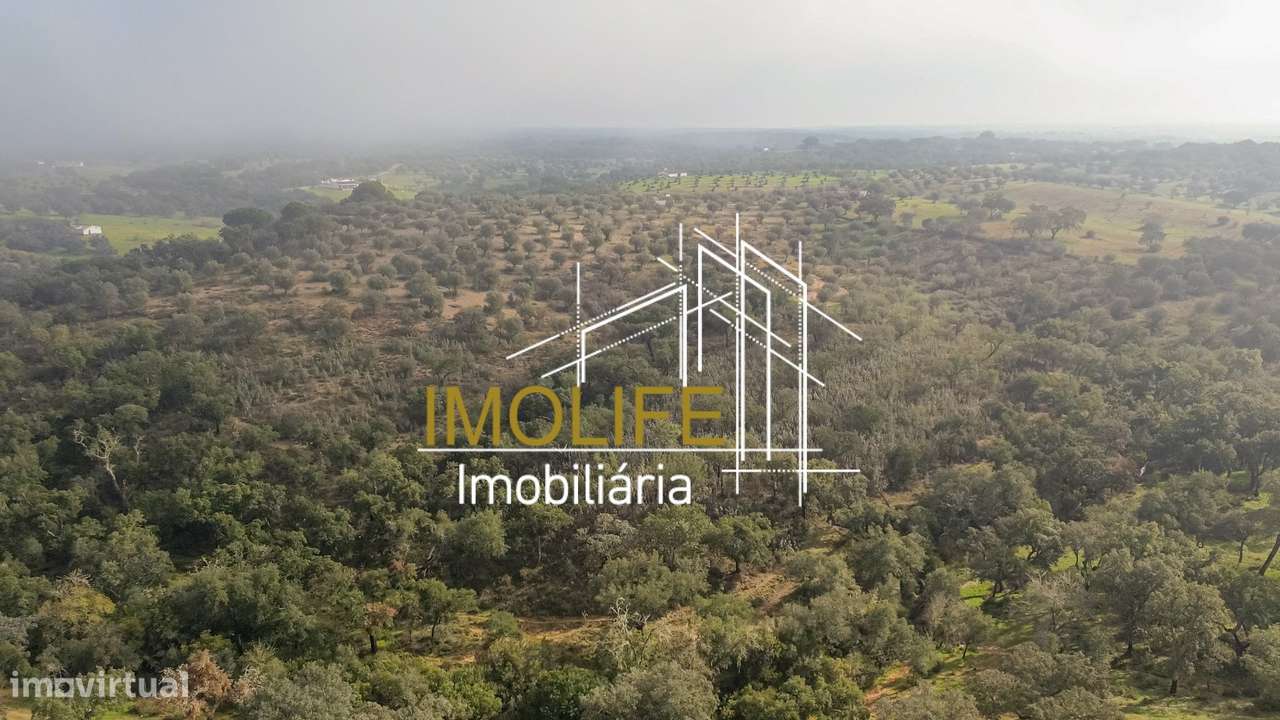 MONTINHO DO CHIADO - MALARRANHA - PAVIA-32