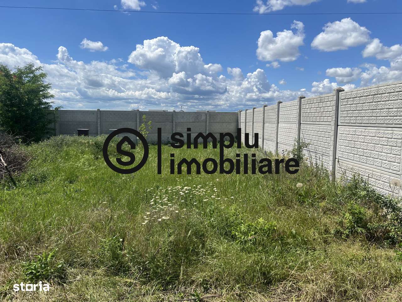 Teren Intravilan Damila - Imagine principală: 2/5