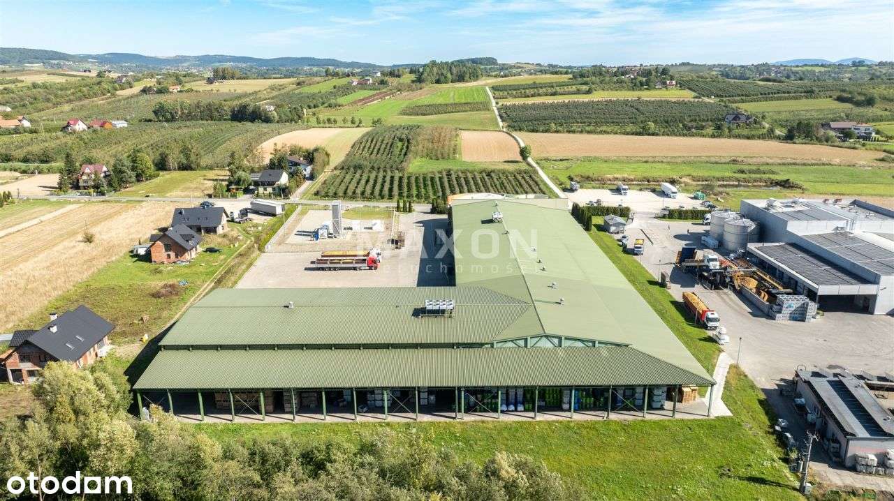 Hala magazynowa / chłodnia / składowanie owoców - Pełny obrazek: 4/6