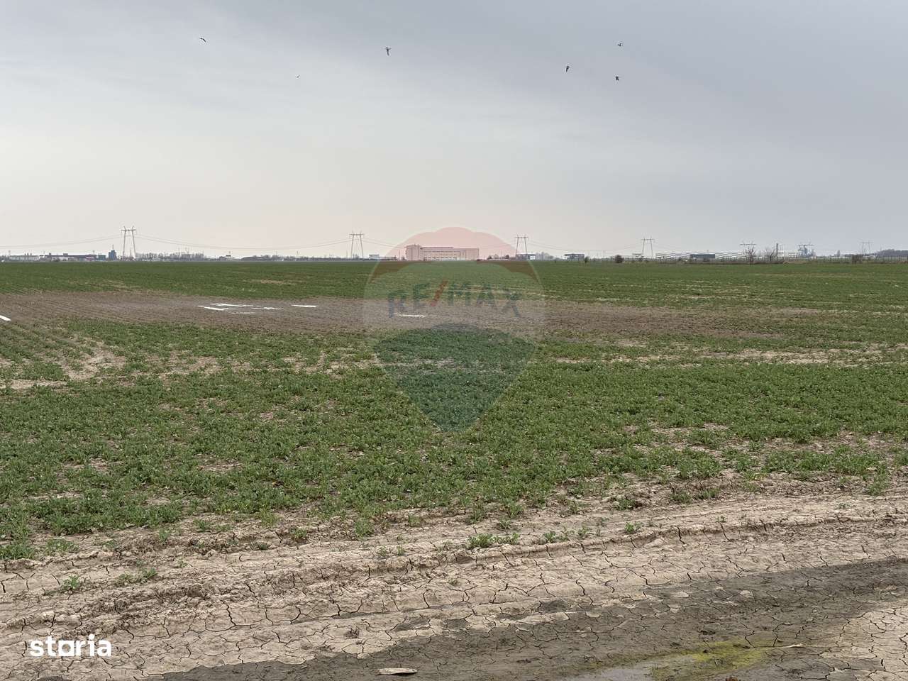 Teren 12.651 mp lângă Metrou Berceni | Perfect Dezvoltare Rezidențială-10