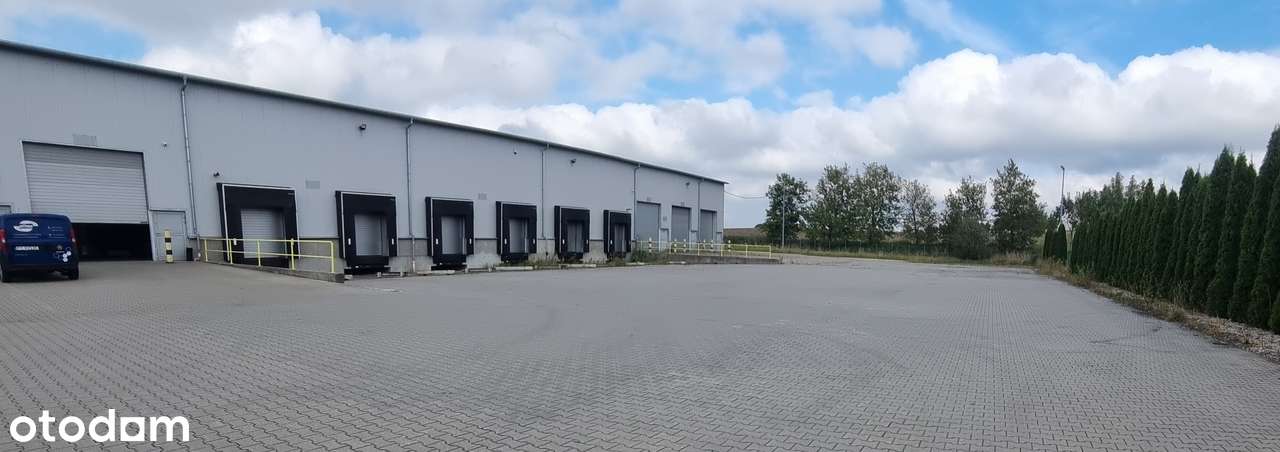 HALE- GĄDKI przy S11. - Pełny obrazek: 4/11