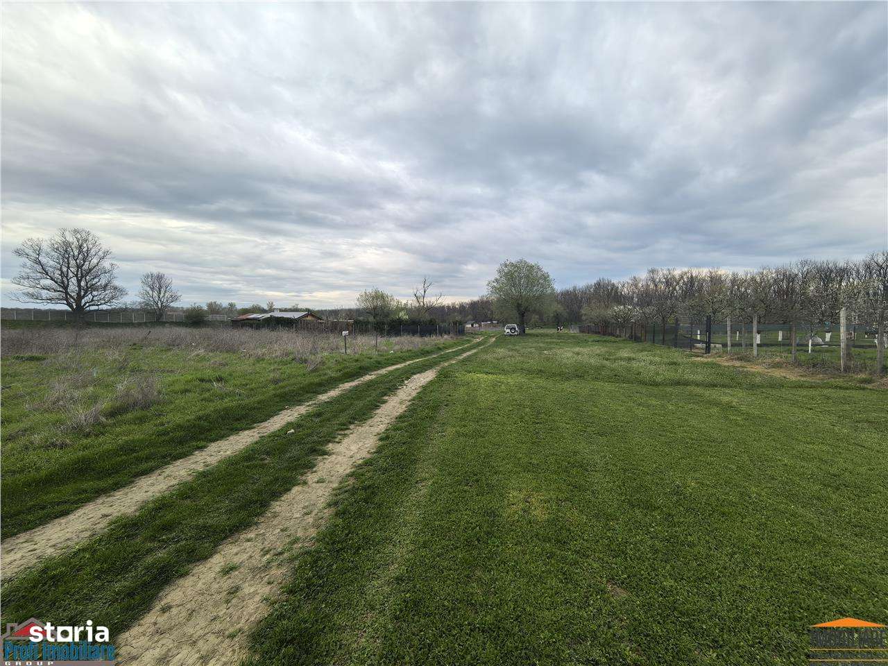 Teren zona agrement padure Vladimirescu - Imagine principală: 2/5