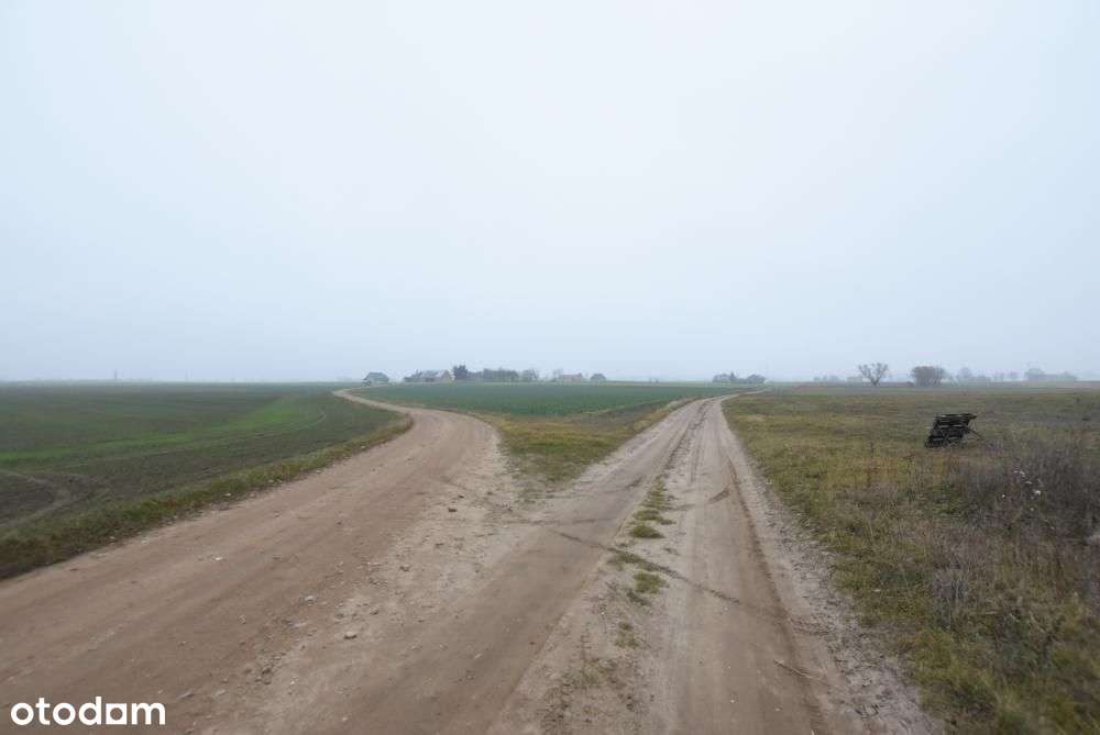 Działka budowlana możliwość budowy 3 domów BRZOZA/Niepruszewo-4