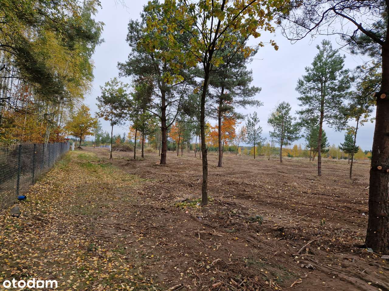 Wymysły- 7 działek budowlanych OFERTA DLA DEWELOPERA pod osiedle domów-6